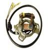 Stator Kawasaki: KX80 81 88 KX100 81 88